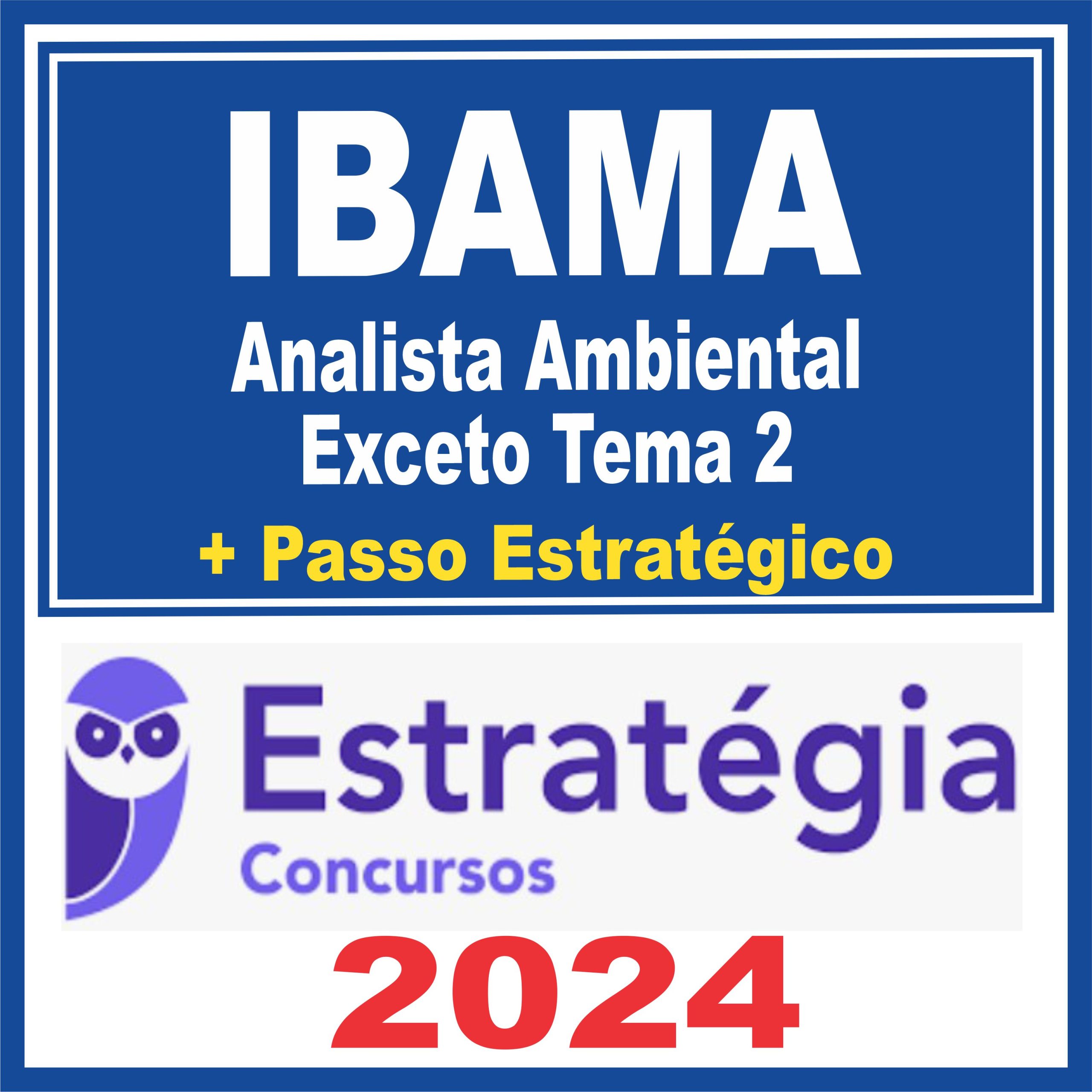ibama-anal-amb-passo