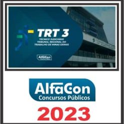 trt mg tj agente policial pos