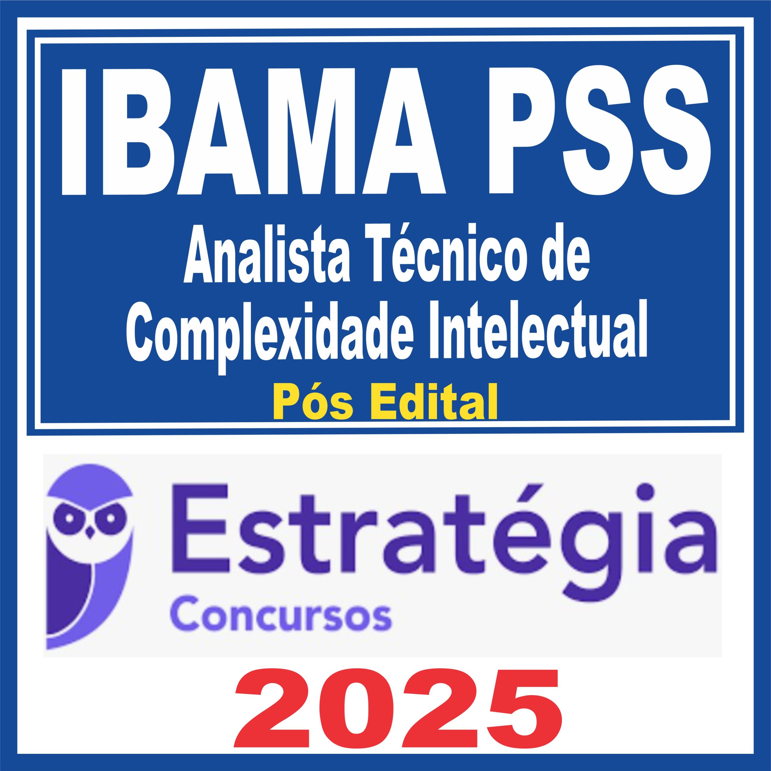 ibama-ana-tec-int