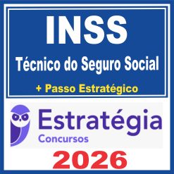 inss-tec-seg-soc